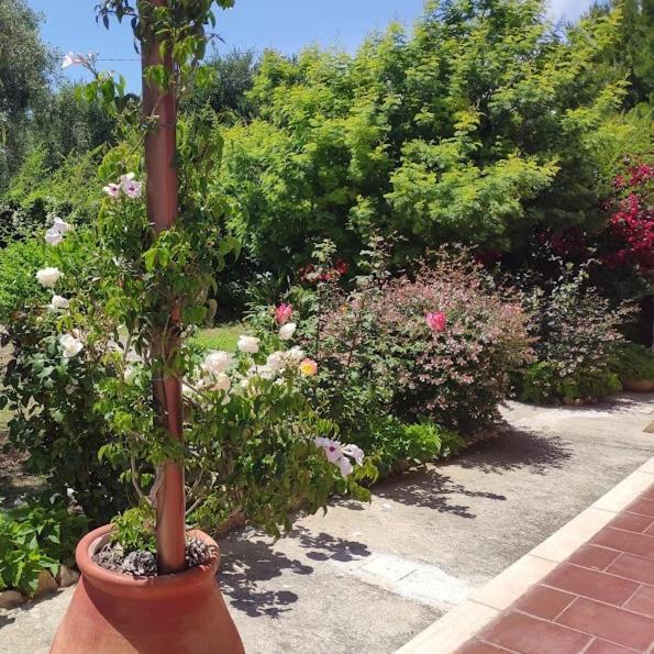 La Casa Di Giada, Appartamento In Villetta Con Aria Condizionata, Wi-Fi E Parcheggio Gratuito Poggi Kültér fotó